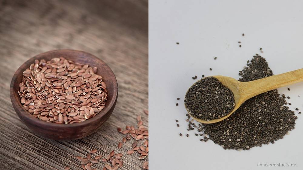 Chia Seeds VS Flax Seeds Benefits