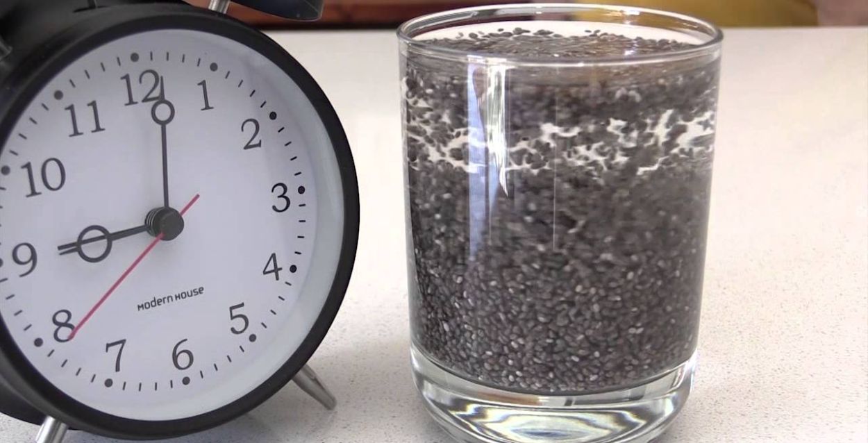 Watch Chia Seeds Expanding in Time Lapse
